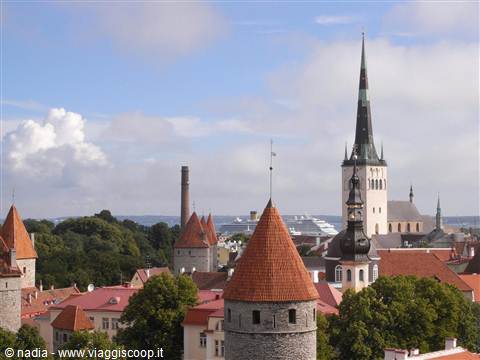 ESTONIA - TALLIN CITTA' ALTA