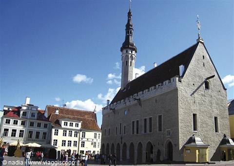 ESTONIA - TALLIN - MUNICIPIO