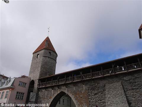 ESTONIA - TALLIN - PORTA DELLE MONACHE