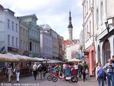 ESTONIA - TALLIN - CITTA' BASSA