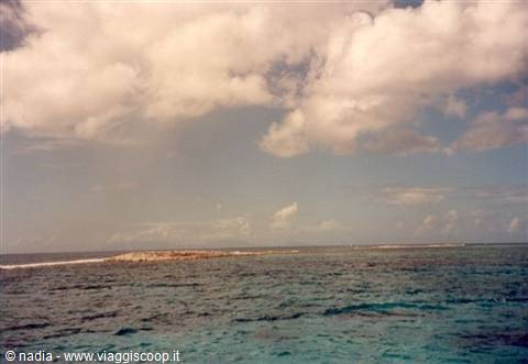 BARRIERA CORALLINA