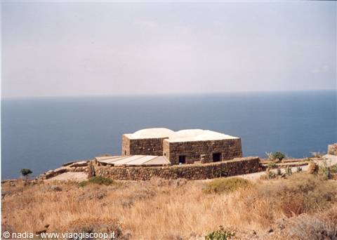 PANTELLERIA - DAMMUSO