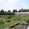 SERRONE DELLA VILLA REALE - MONZA ITALIA 