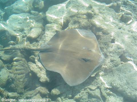 rangiroa