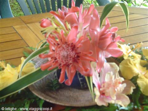 FIORI
