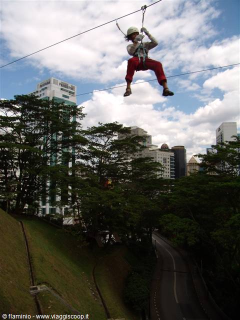 wheeeeeee