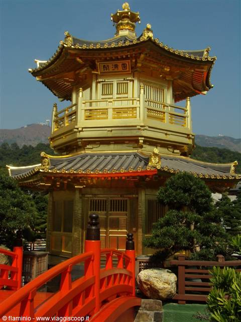 Hong Kong!