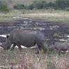 foto viaggio SUD AFRICA