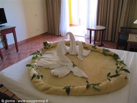 15 - i cigni di Ibrahim 