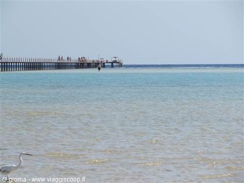 21 - pontile con airone