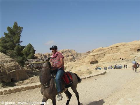 mezzo di trasporto nel Wadi Musa