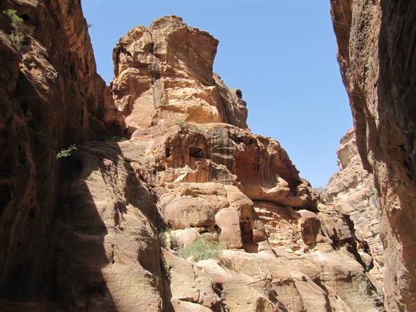 rocce e vegetazione