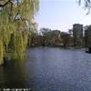 Boston Common STATI UNITI D'AMERICA 