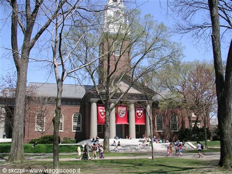 Harvard