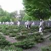 Washington STATI UNITI D'AMERICA 