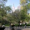 Scorcio dell'Empire State Building da Battery Park STATI UNITI D'AMERICA 