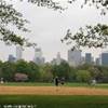 Baseball a Central Park STATI UNITI D'AMERICA 