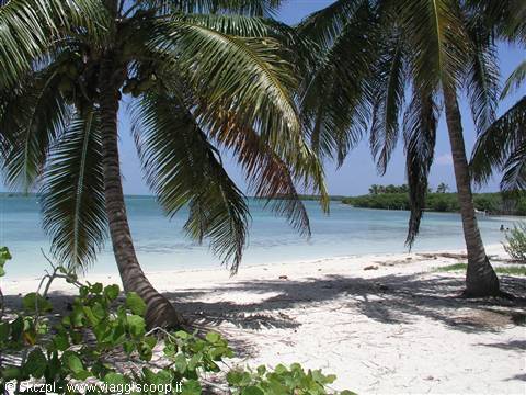 Isla Contoy