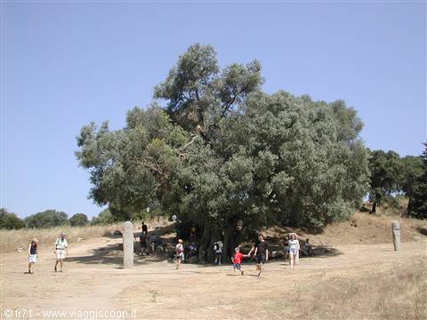 SCAVI ARCHEOLOGICI