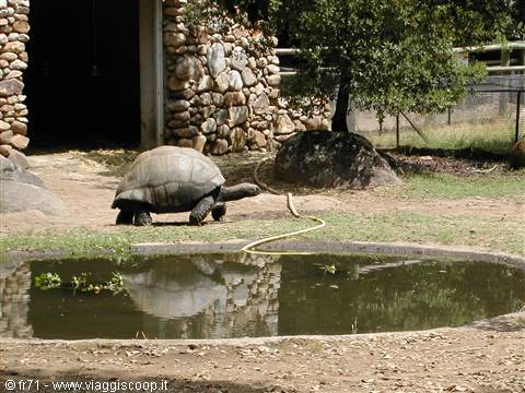 PARCO TARTARUGHE