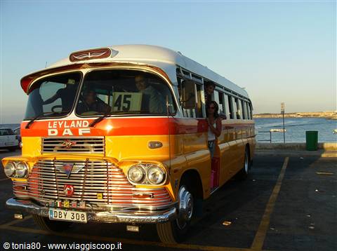 bus