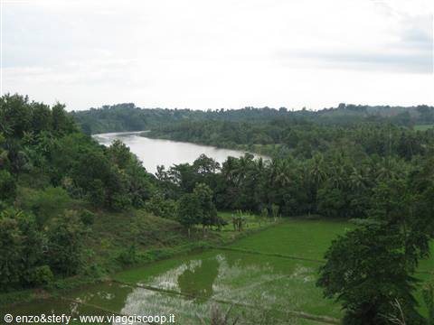 Sulawesi