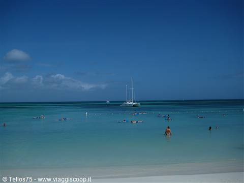 Spiaggia dell'Hotel a Palm bech