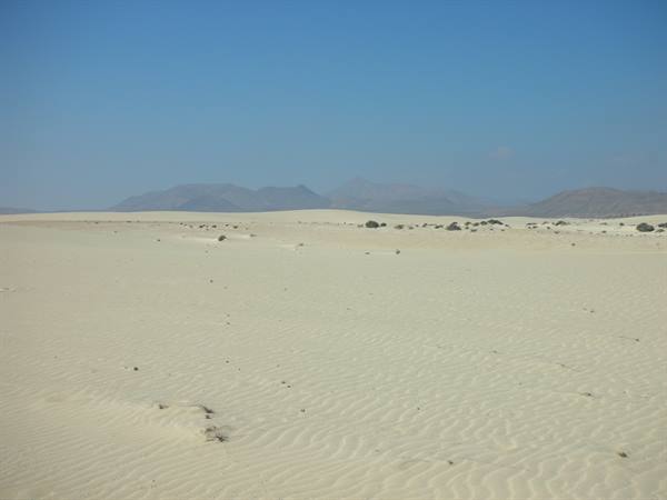 Le dune