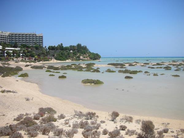 Sotavento-laguna