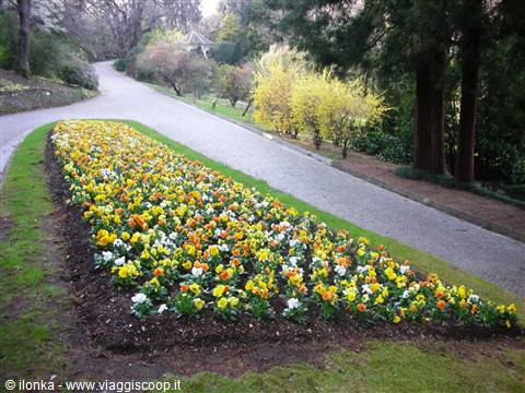 aiuole curatissime e colorate di fiori