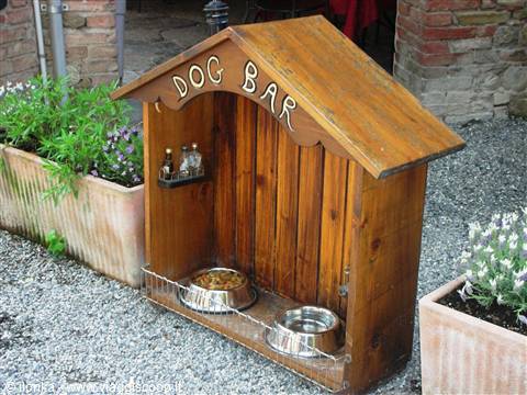 bar per cani
