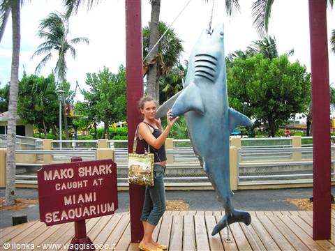 miami seaquarium
