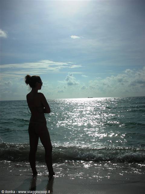 mare di miami beach