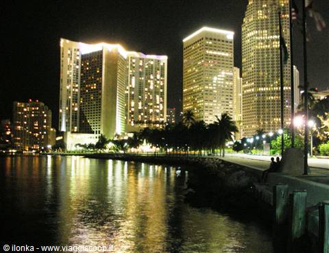 skyline miami di notte