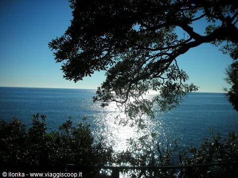 veduta mare da un carruggio di nervi