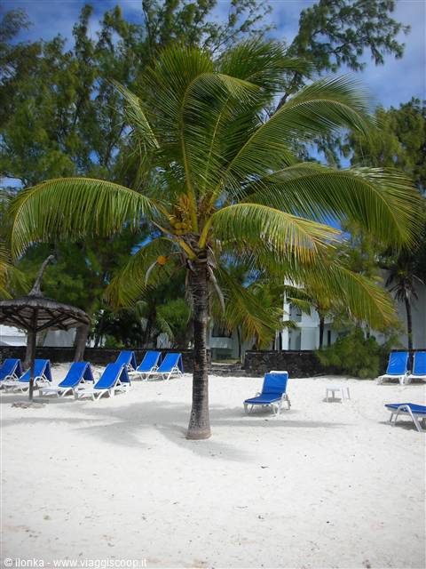 Mauritius, spiaggia belle mare 