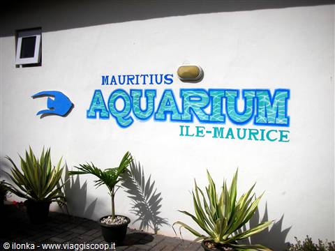 acquario Mauritius