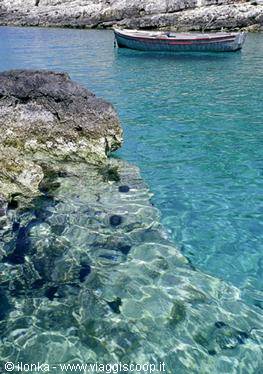 l'acqua di paxi