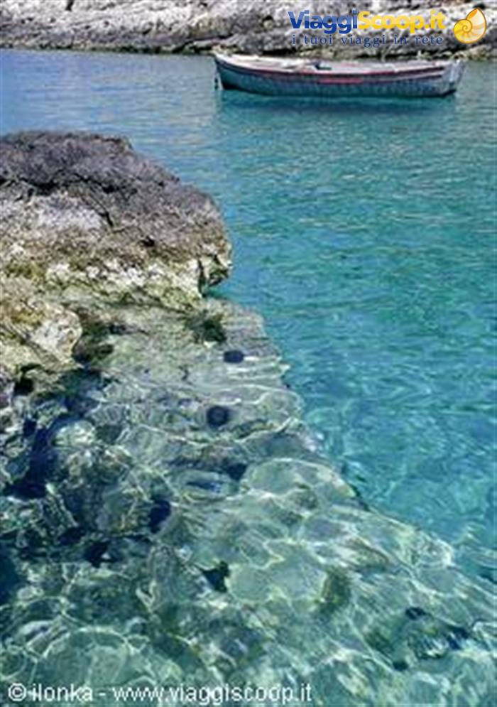 l'acqua di paxi