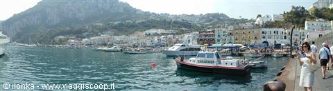 panorama porto di capri