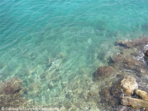 che dire..l'immagine è chiarissima!! come questo mare