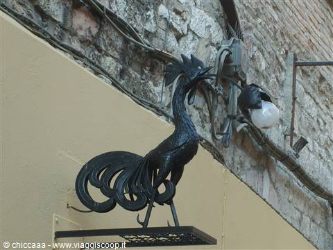 insegna - luminosa - del negozio "il gallo nero"