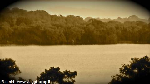 Amaya lac