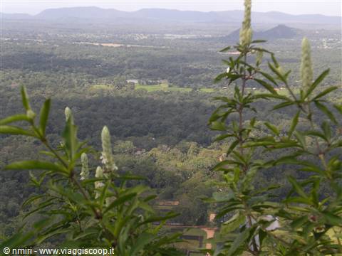 Vista da dall'alto di Sigiriya