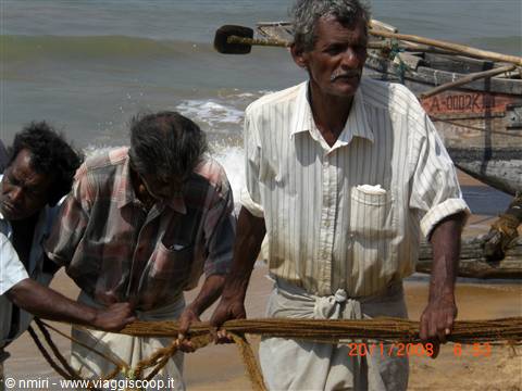 Pesca a traino 2