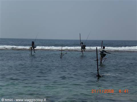 Fisherman 1