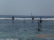 Fisherman 1