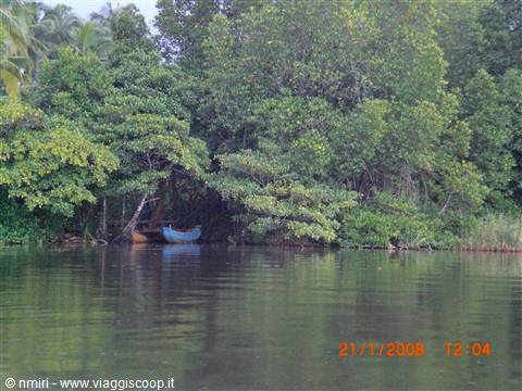 Fiume Bentota 2