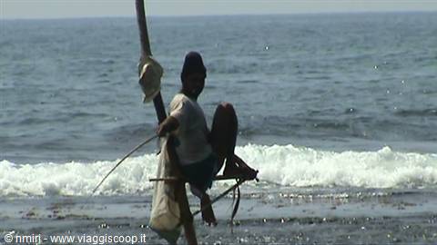 Fisherman 2