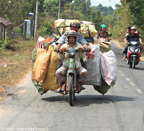 La moto....un bel mezzo di trasporto.....